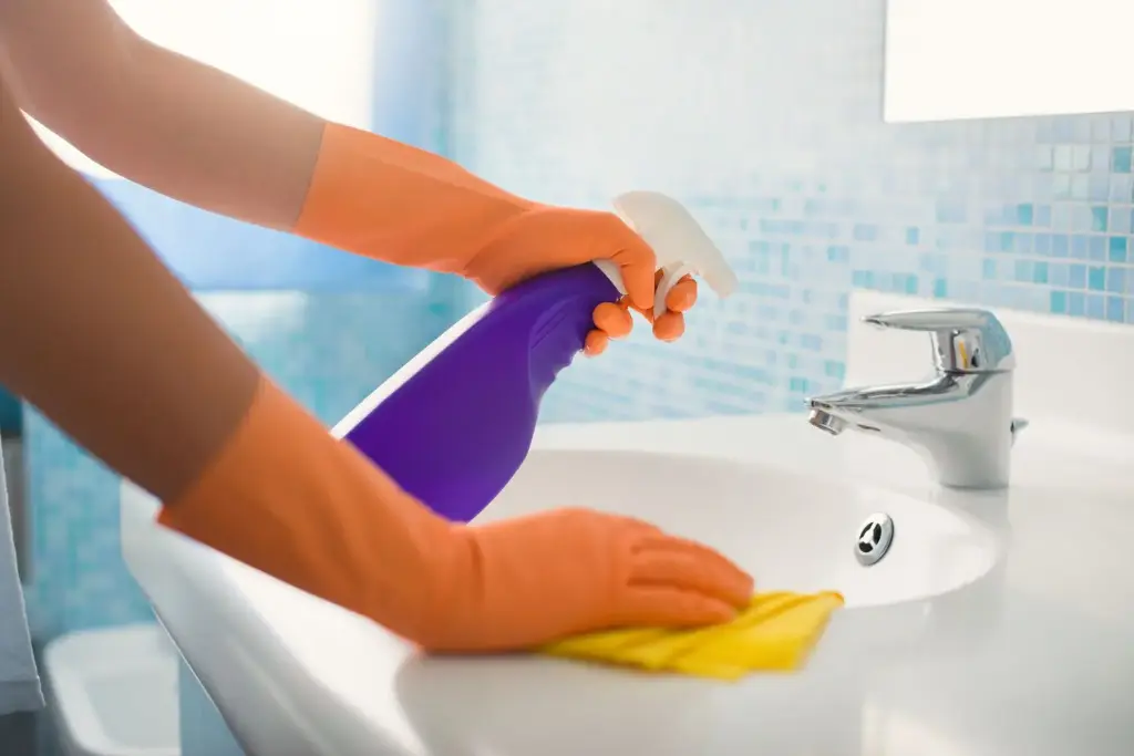 Bathroom Basic Cleaning Service