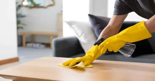 1 BHK Basic Cleaning