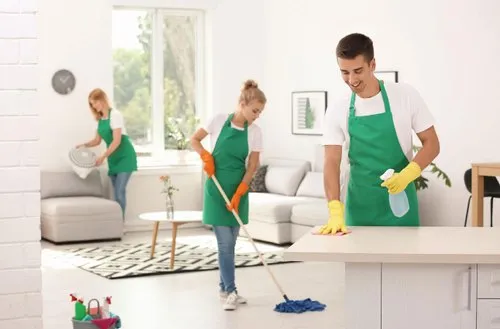 2 BHK Deep cleaning