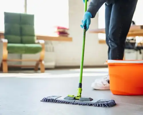 1 RK Basic Cleaning
